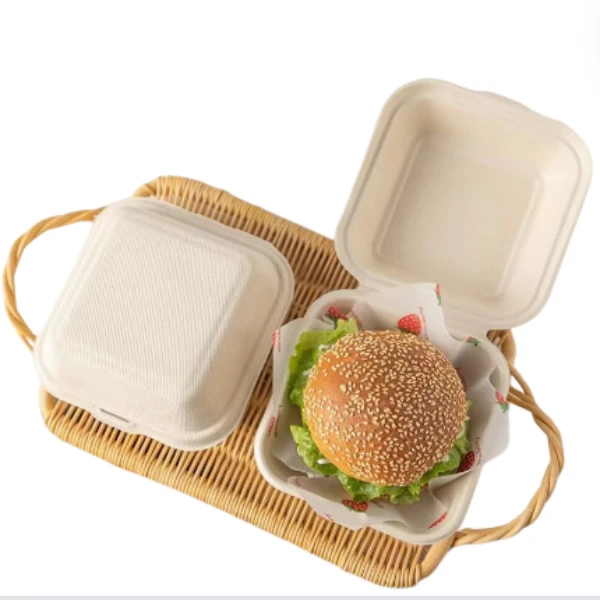 bagasse-made buger box