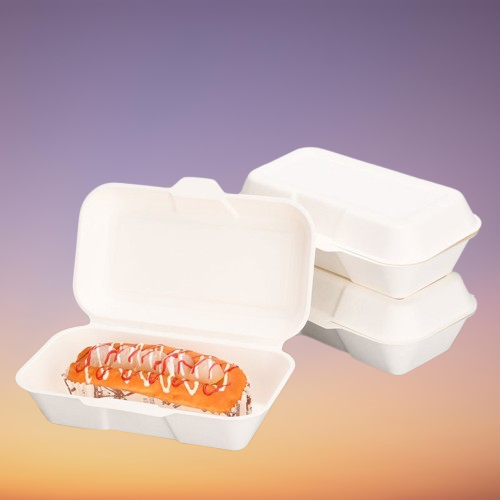 7x5 Inch Bagasse Box